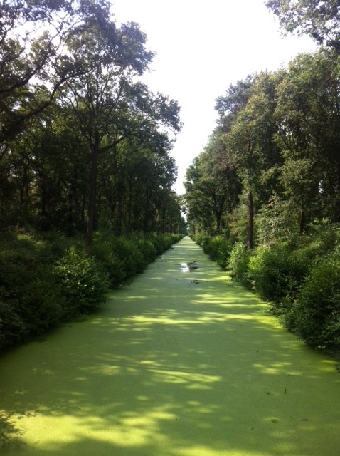 Beringe, Holland (there are 6 Beringes in a very close radius of this one)