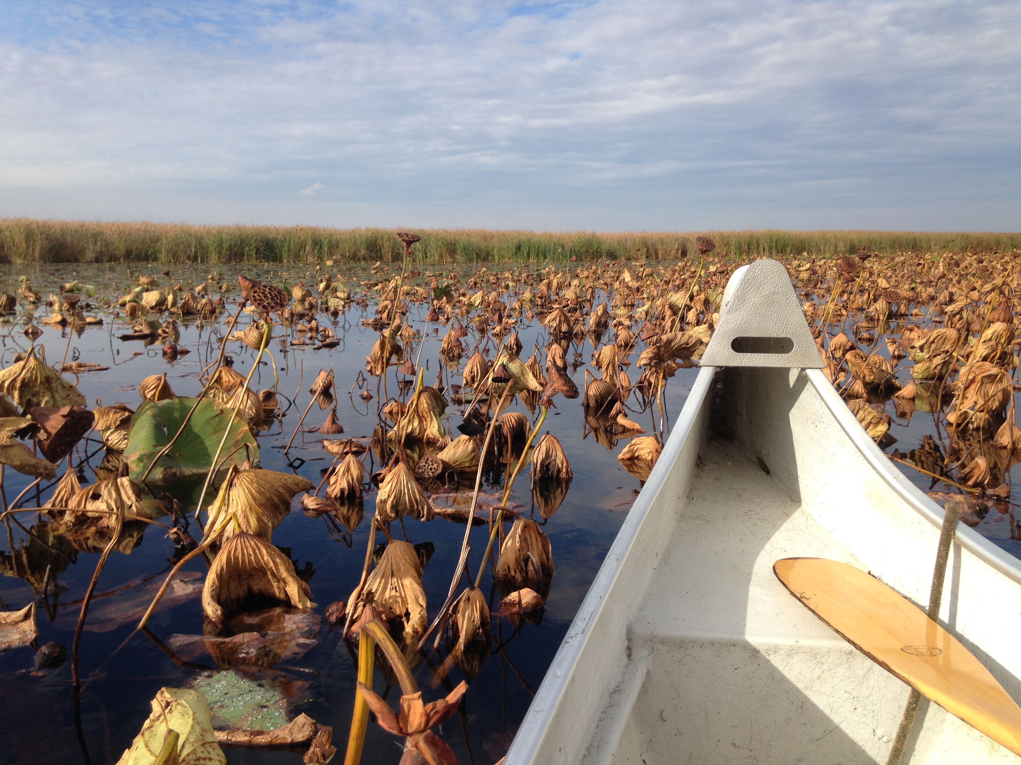 Mud, Bathhouse, Fungi and Sunrises – Point Pelee & Little Rock