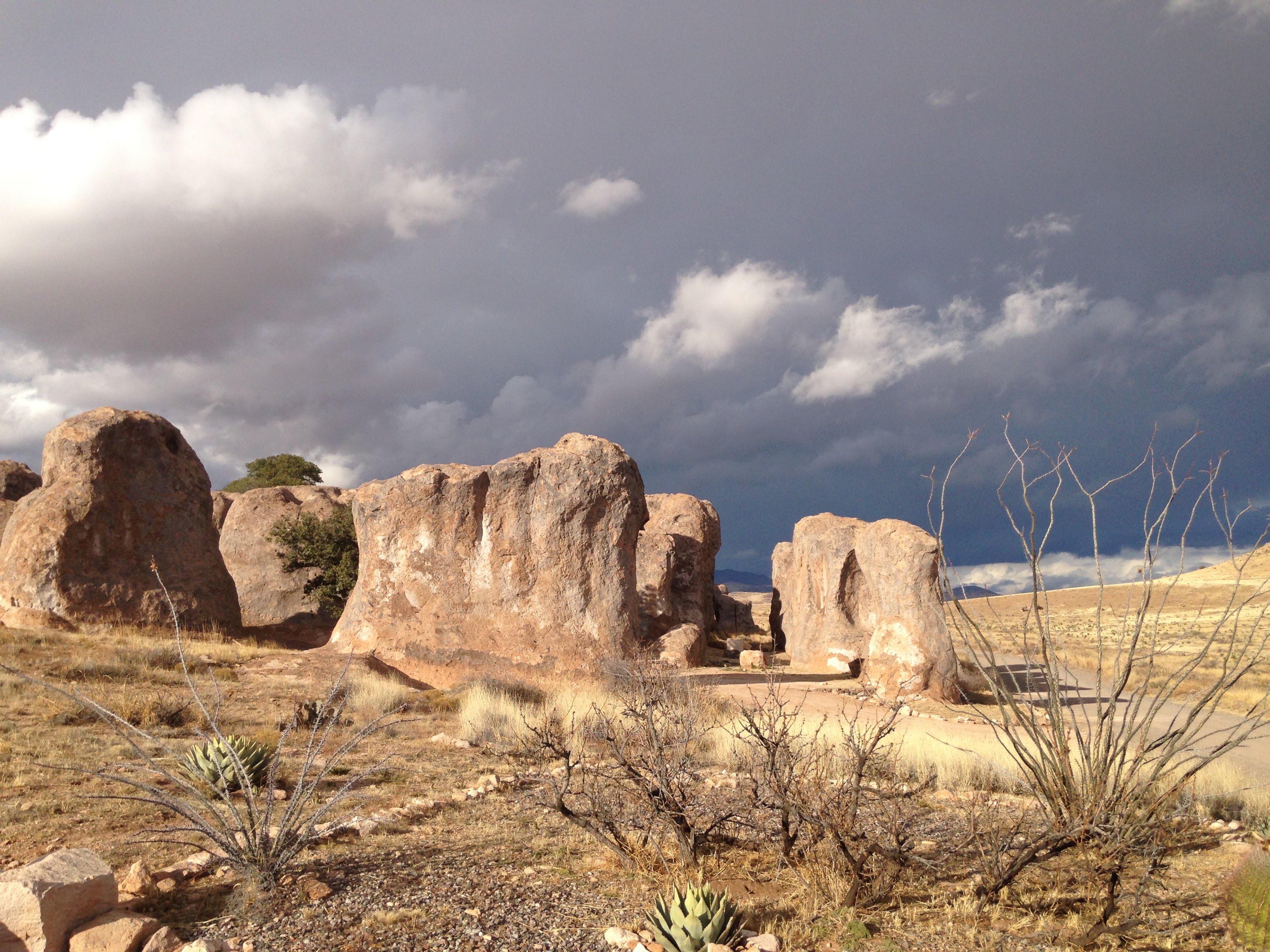 Entering the desert – New Mexico and Arizona
