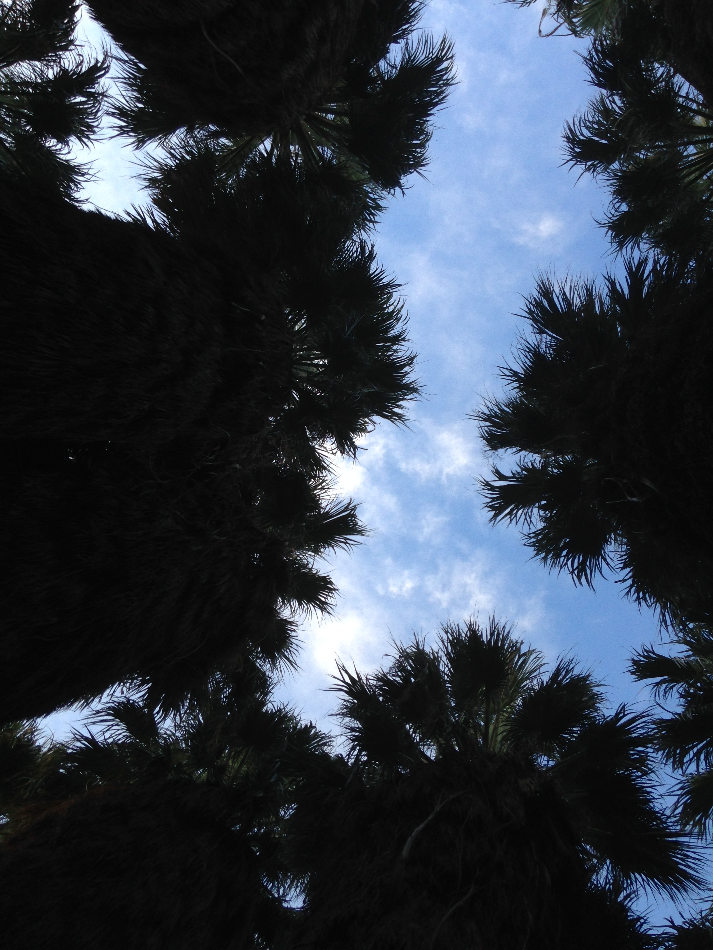 Winding Down – Arizona and California