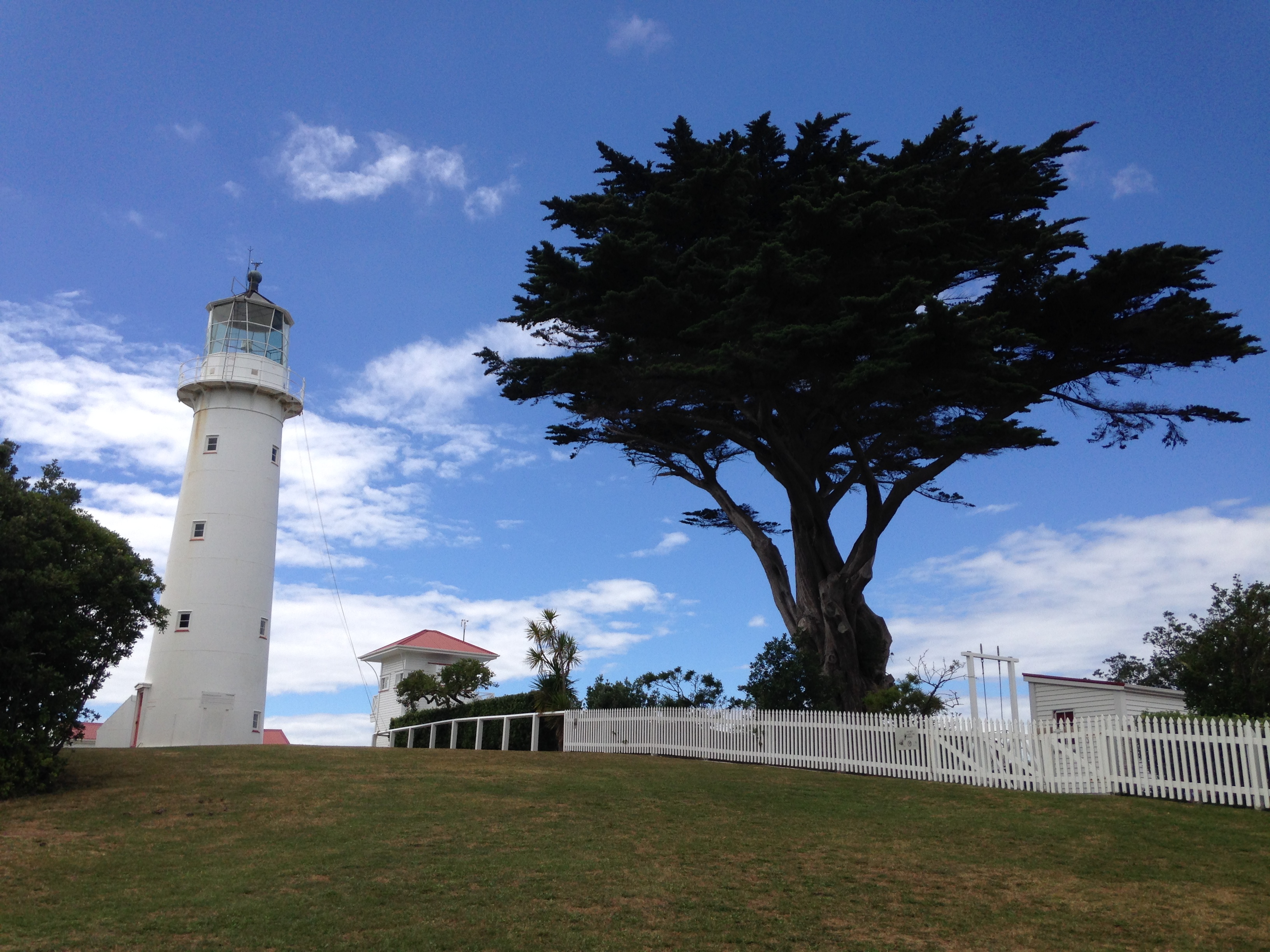 Video Blog on Australia and New Zealand