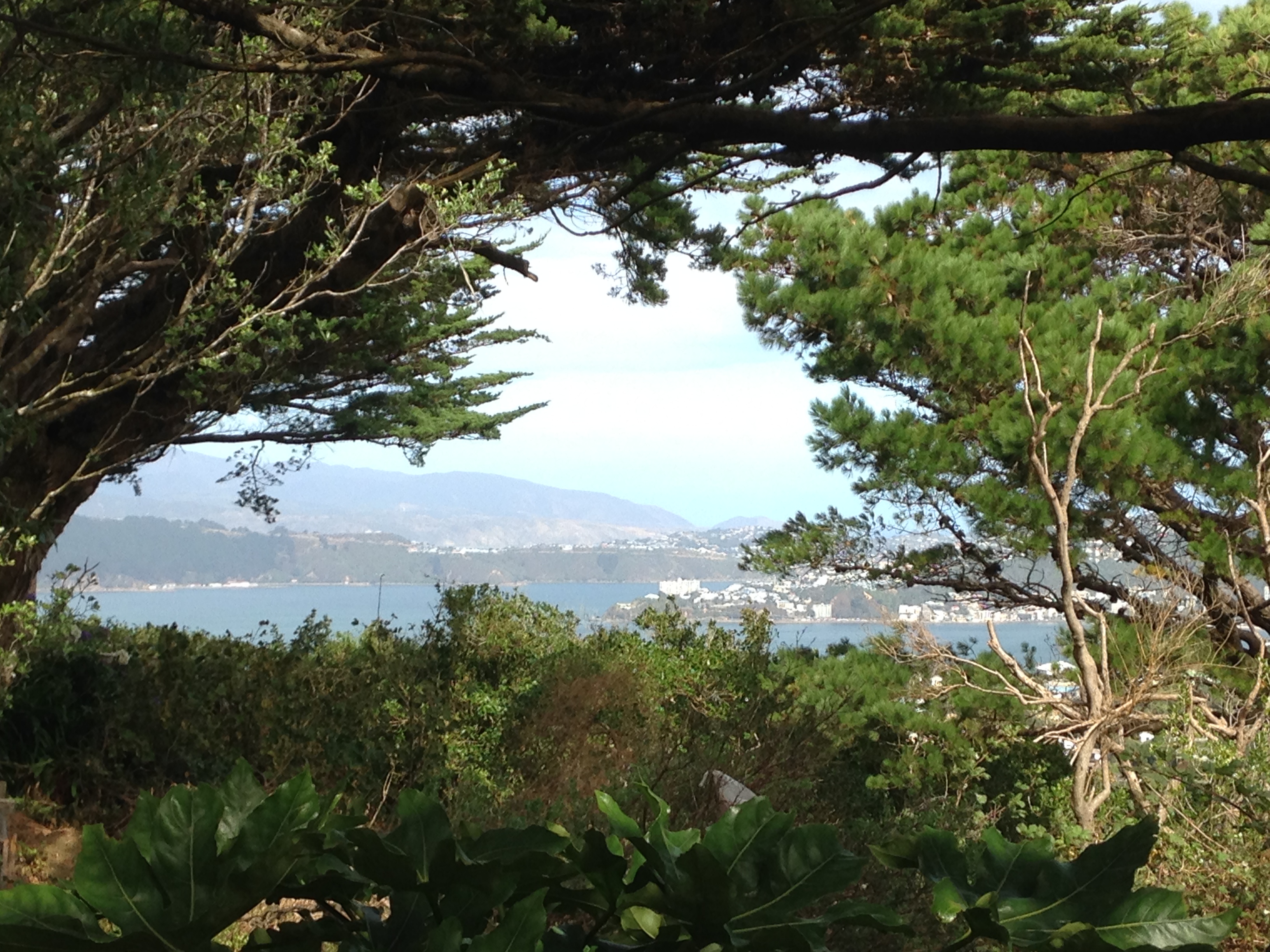 Visiting Wellington the windy City