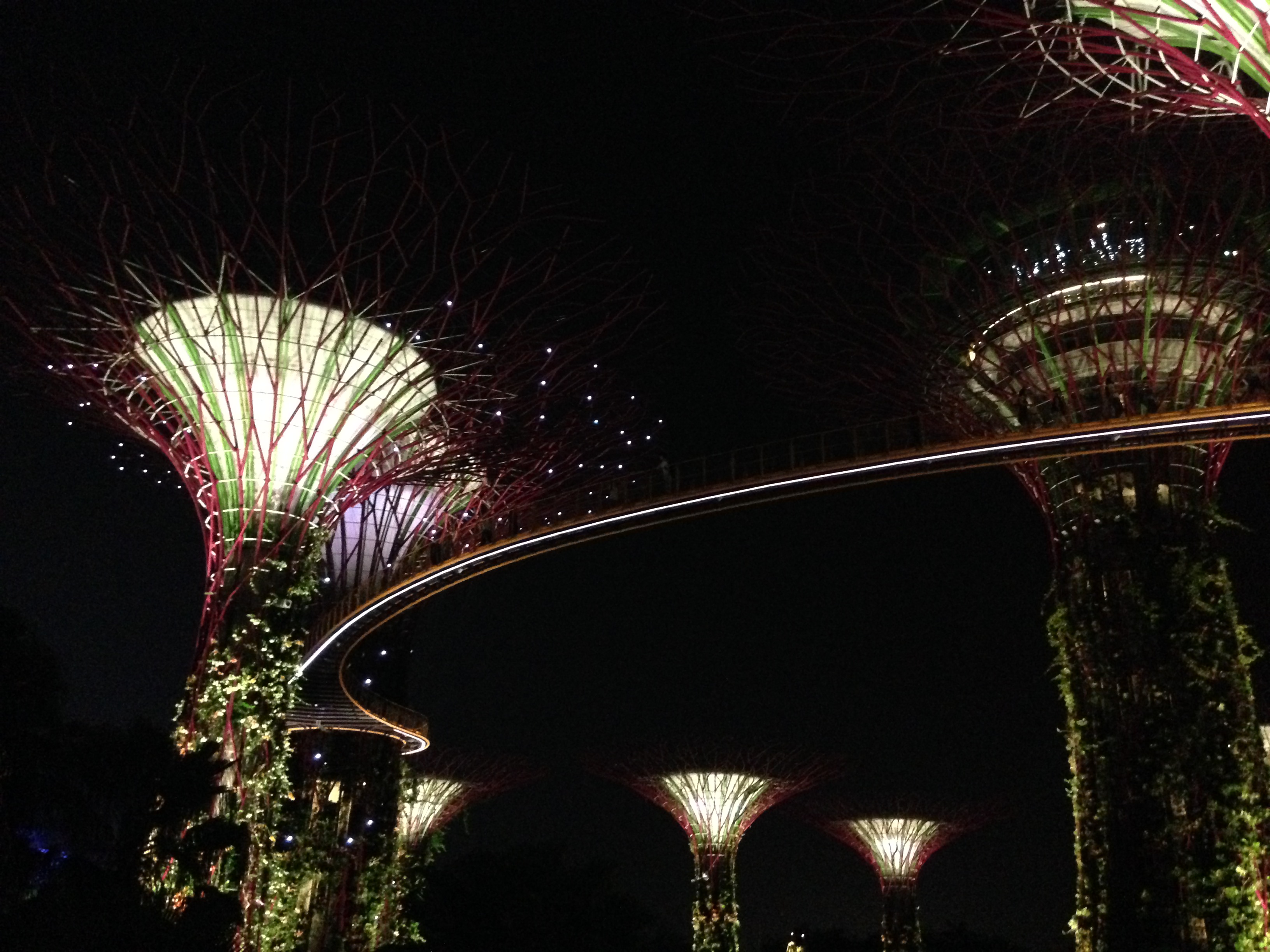 Video Blog on Australia, New Zealand, Singapore and Malaysia