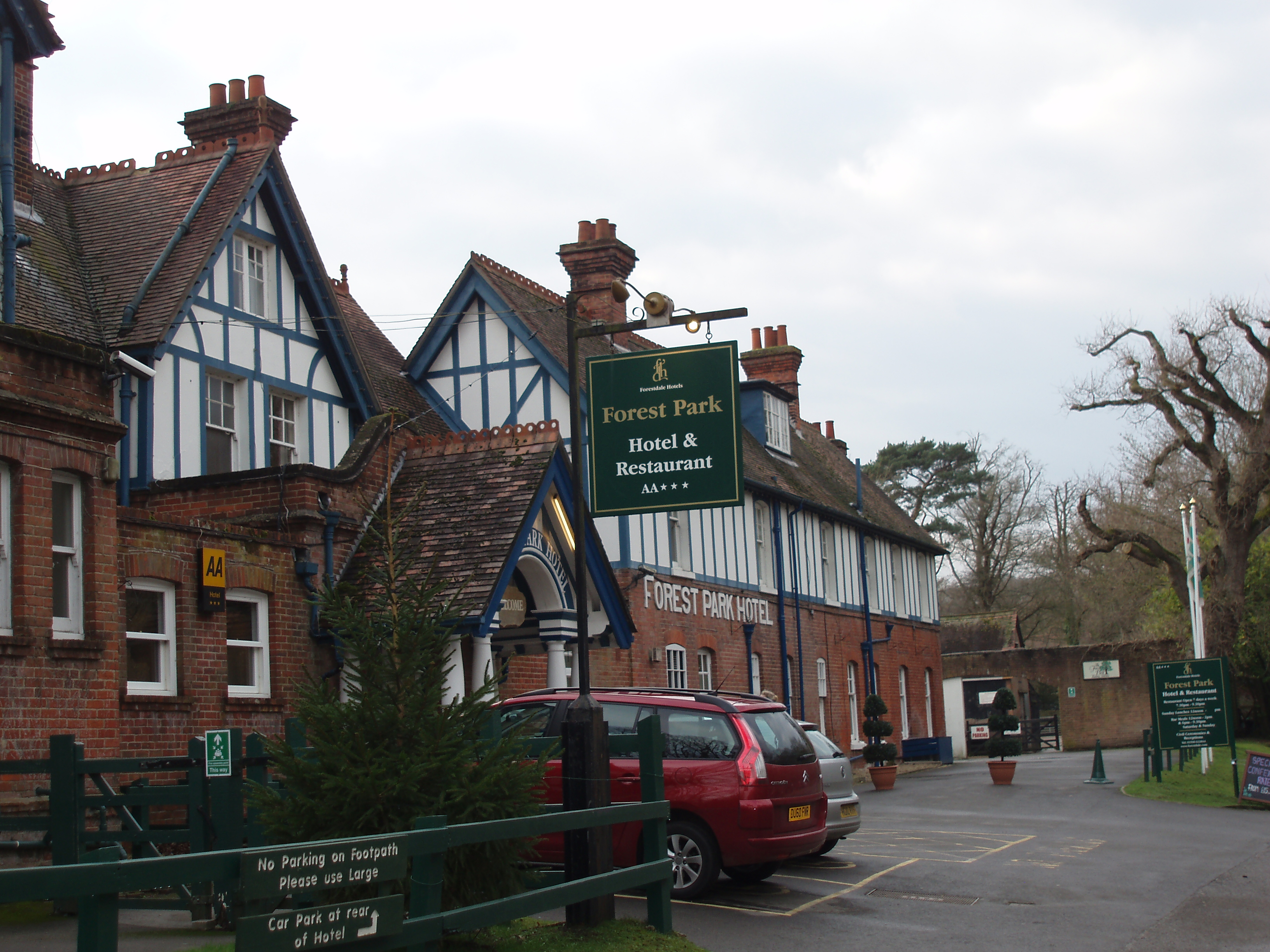 A visit to the Old New Forest